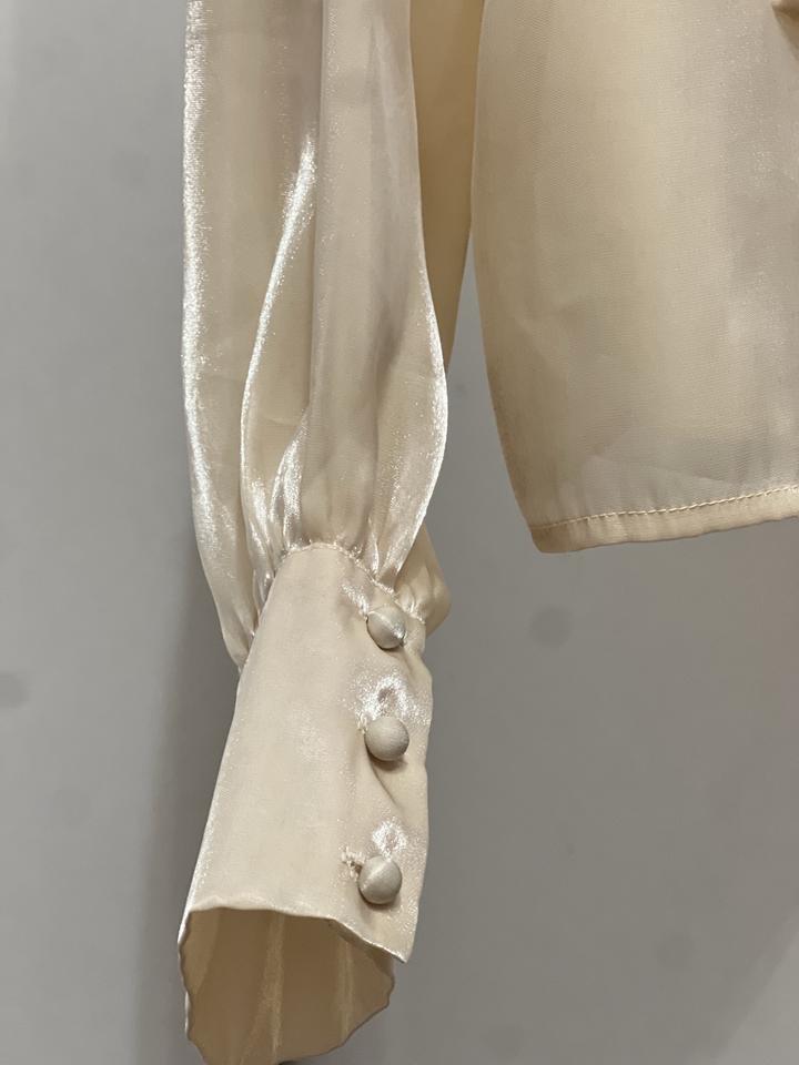 Блузка из органзы