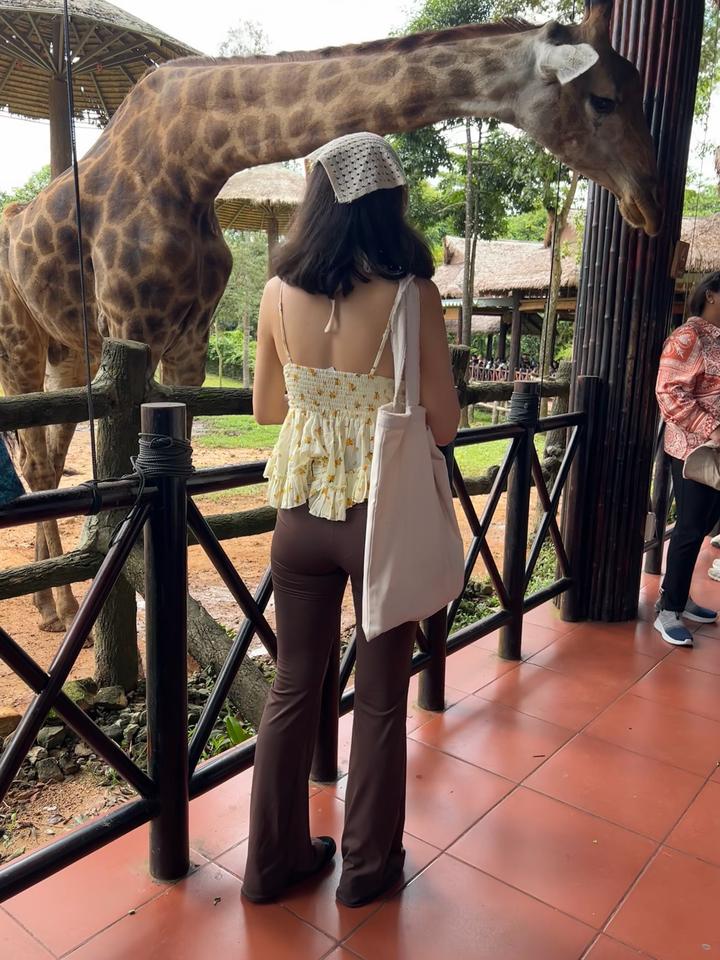 лосины клеш