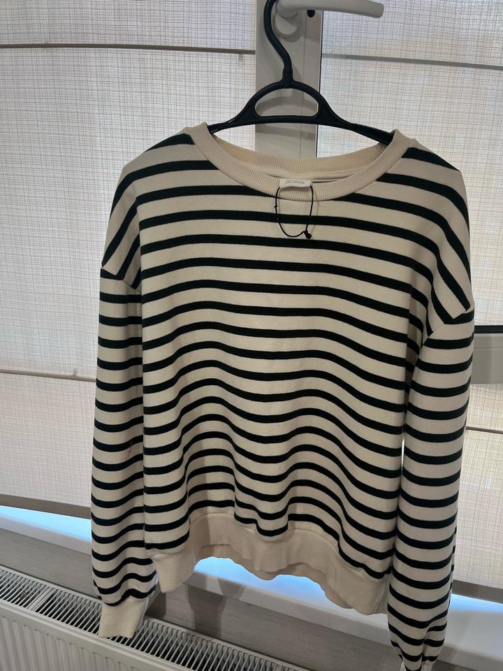 свитшот pull bear