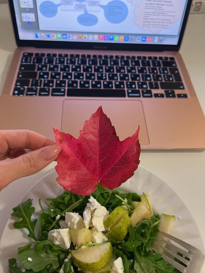 MacBook Air M1 2020 13‘‘