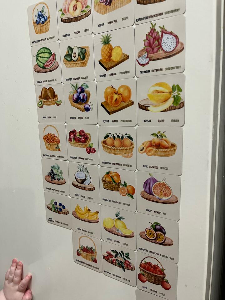 Магниты «ЯГОДЫ И ФРУКТЫ» на 3 языках