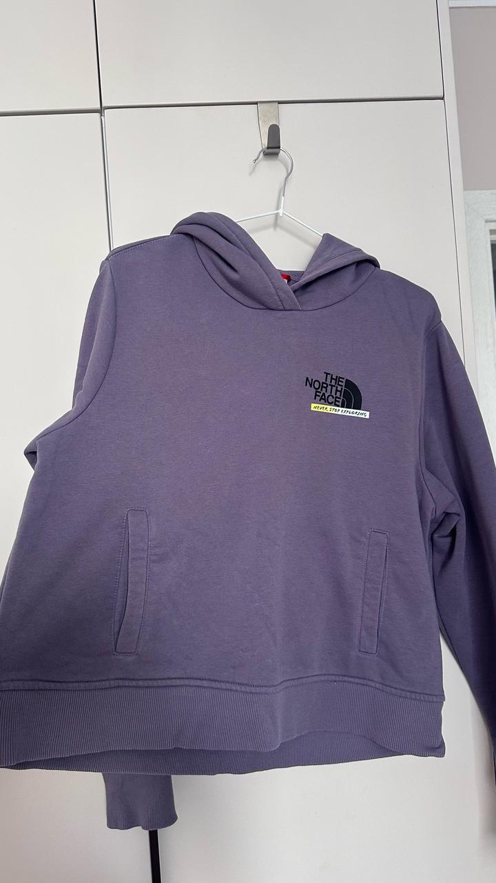 Толстовка The North Face