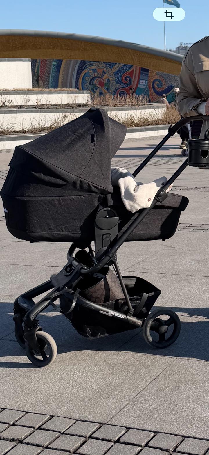Люлька easy walker charley