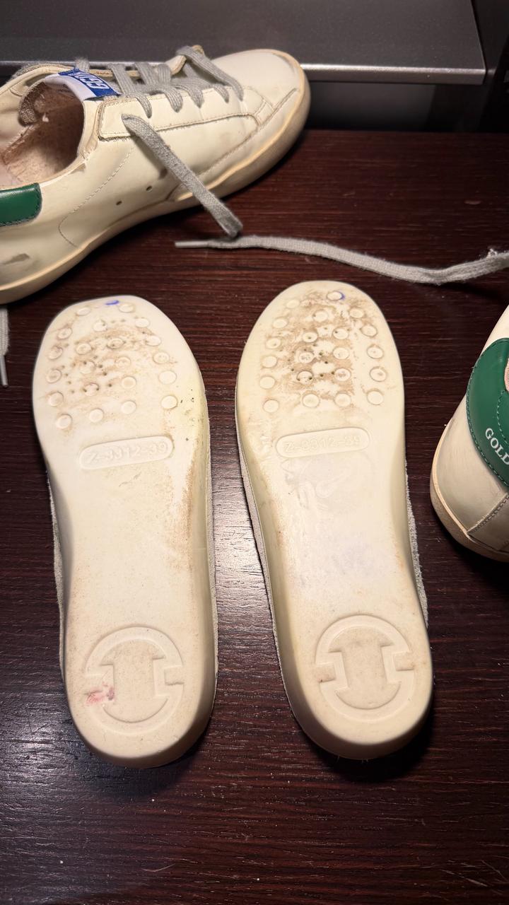 Golden Goose
