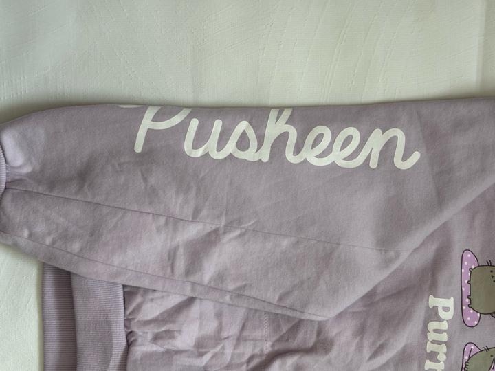 худи Pushin