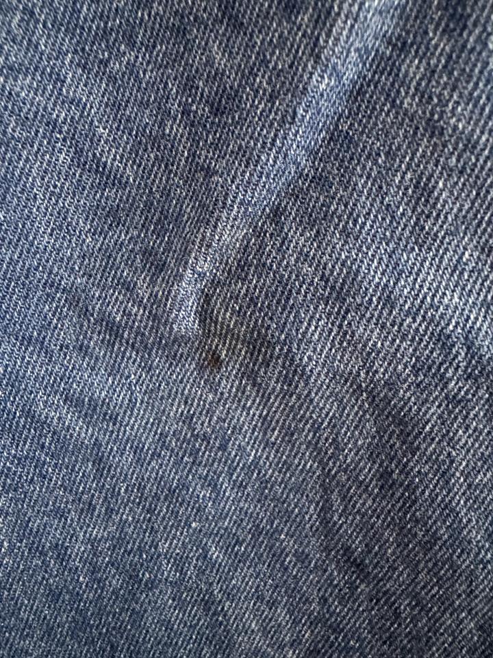 Шорты Бермуды wrangler