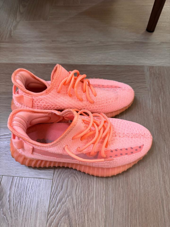 adidas yeezy
