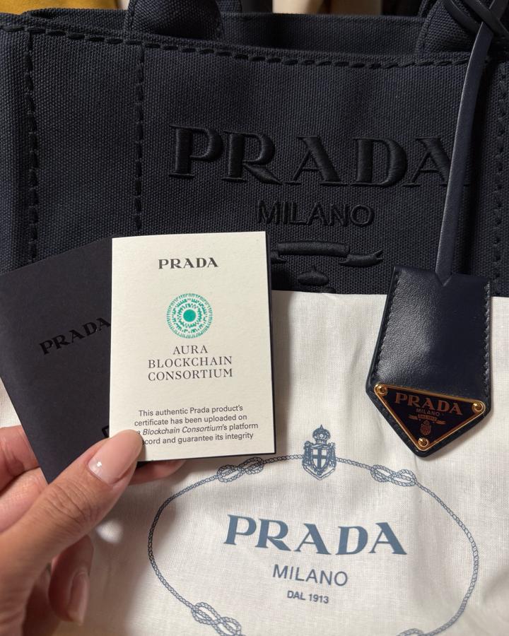 Prada Jardinier Small сумка Baltic Blue