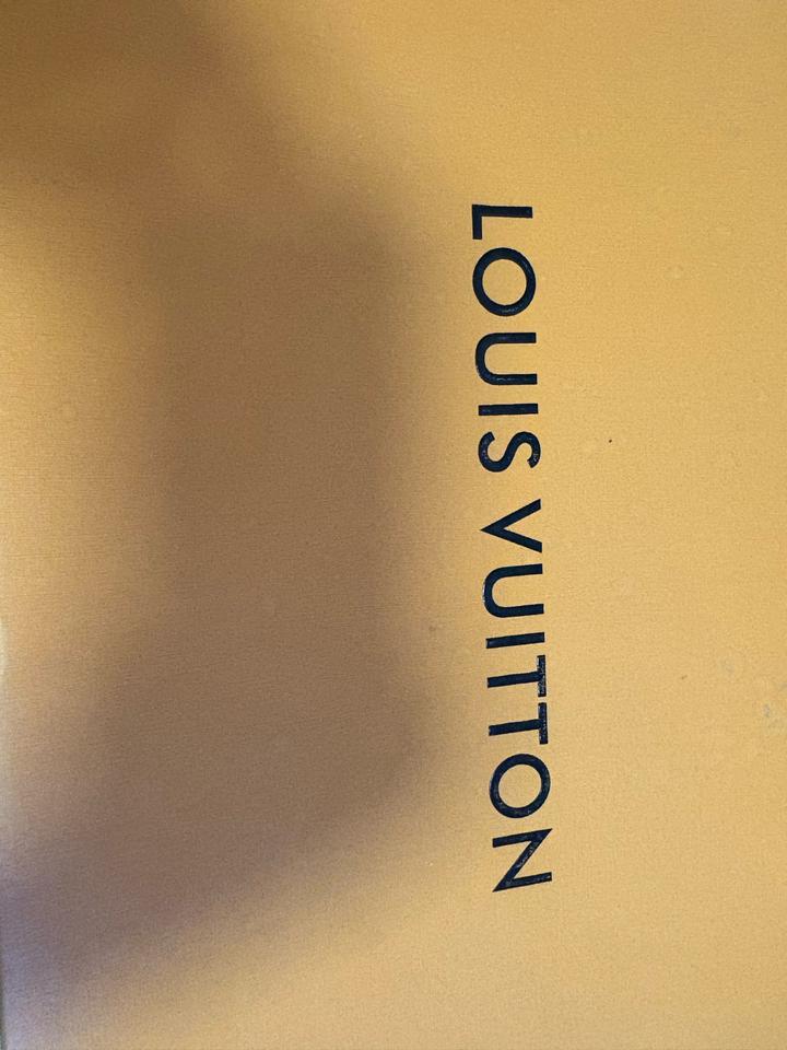 Кроссовки от LV