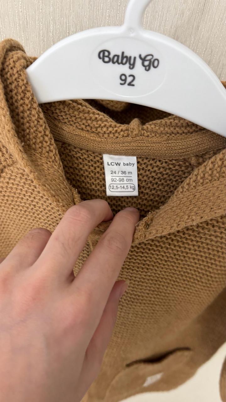 Джемпер с капюшоном для мальчиков от LC Waikiki