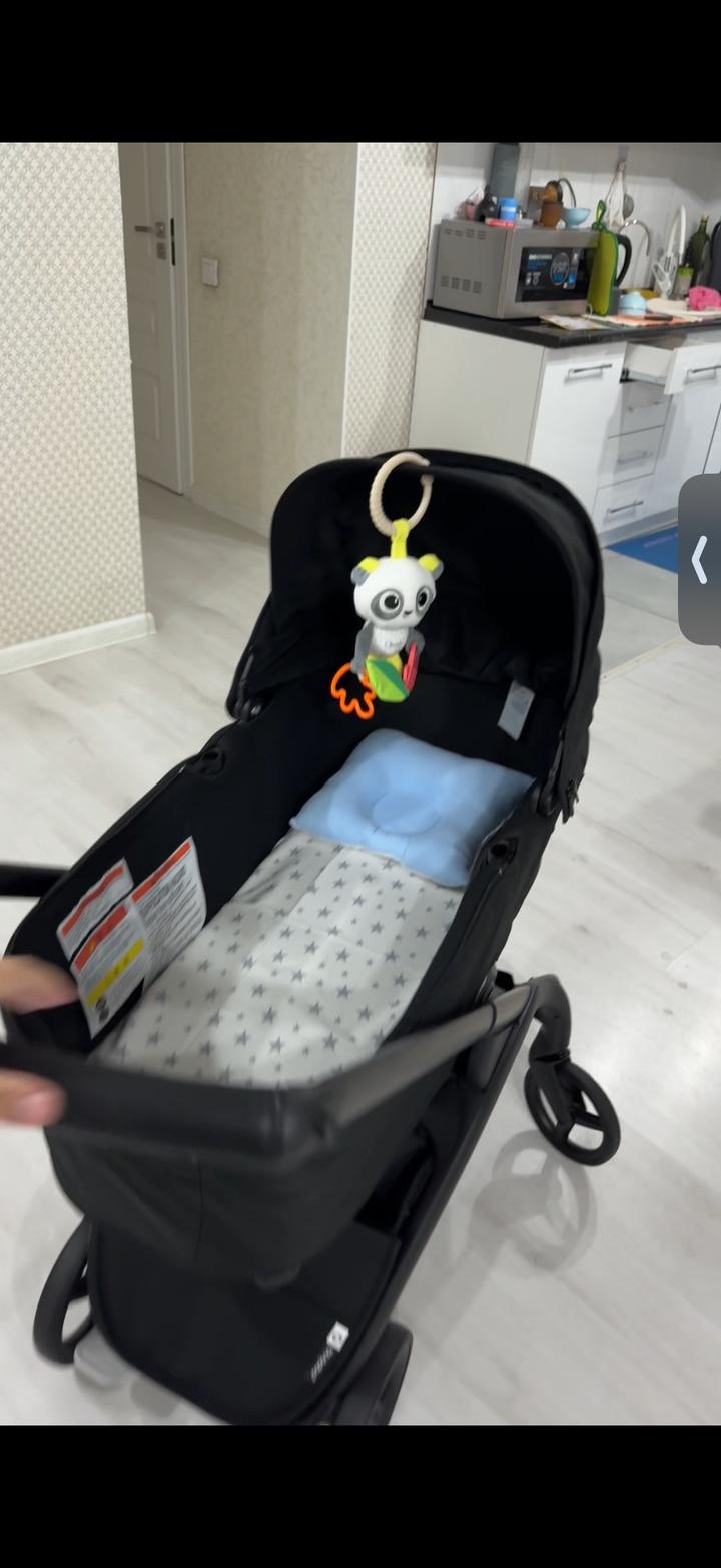 bugaboo dragonfly