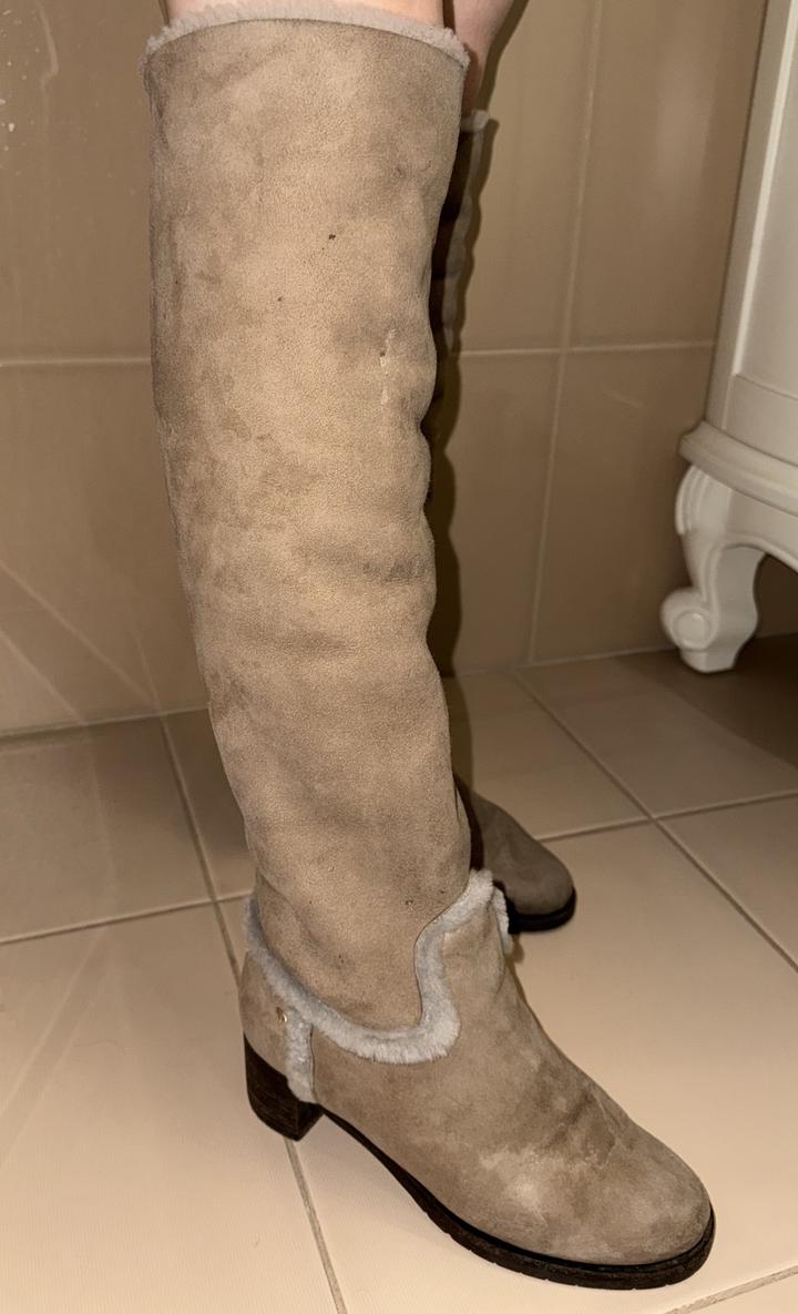 Сапоги Baldinini