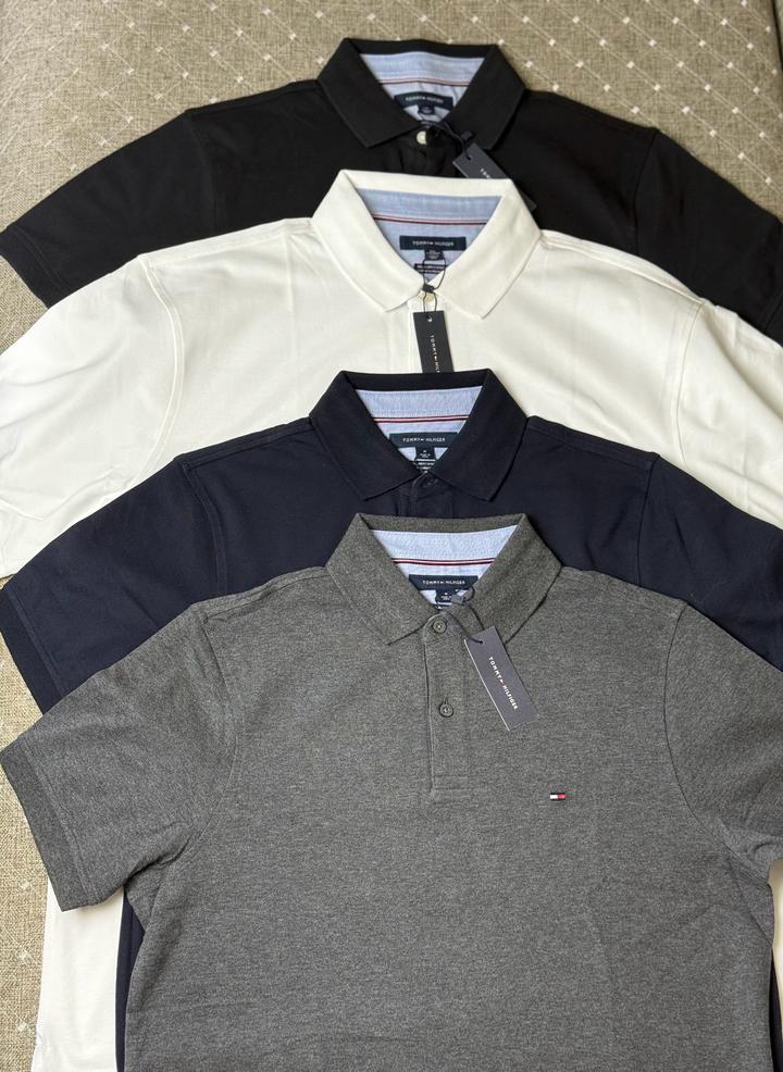 Мужское Polo Tommy