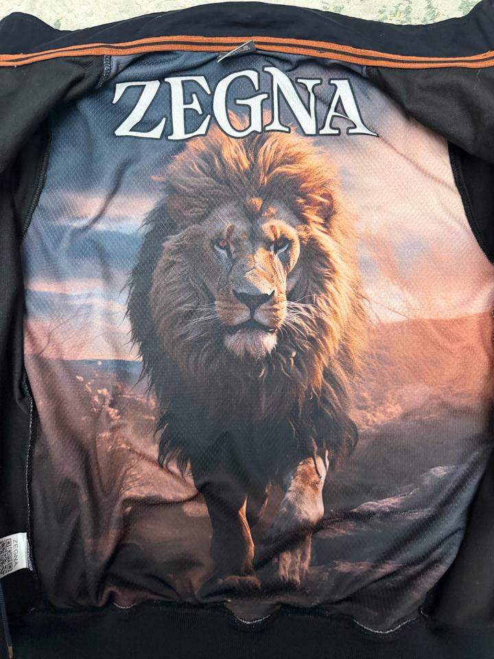 Олимпийка Zegna