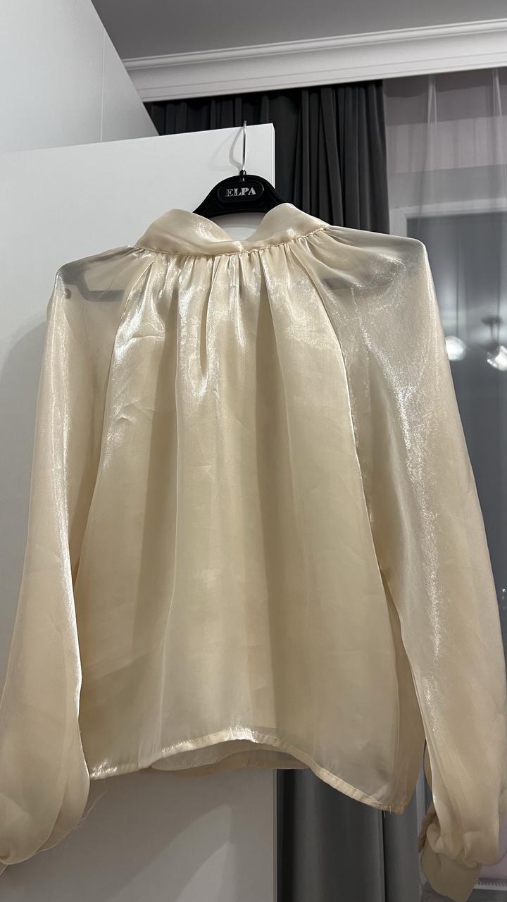 Блузка из органзы