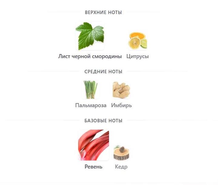 Hello Printemps Yves Rocher 100 ml EDT