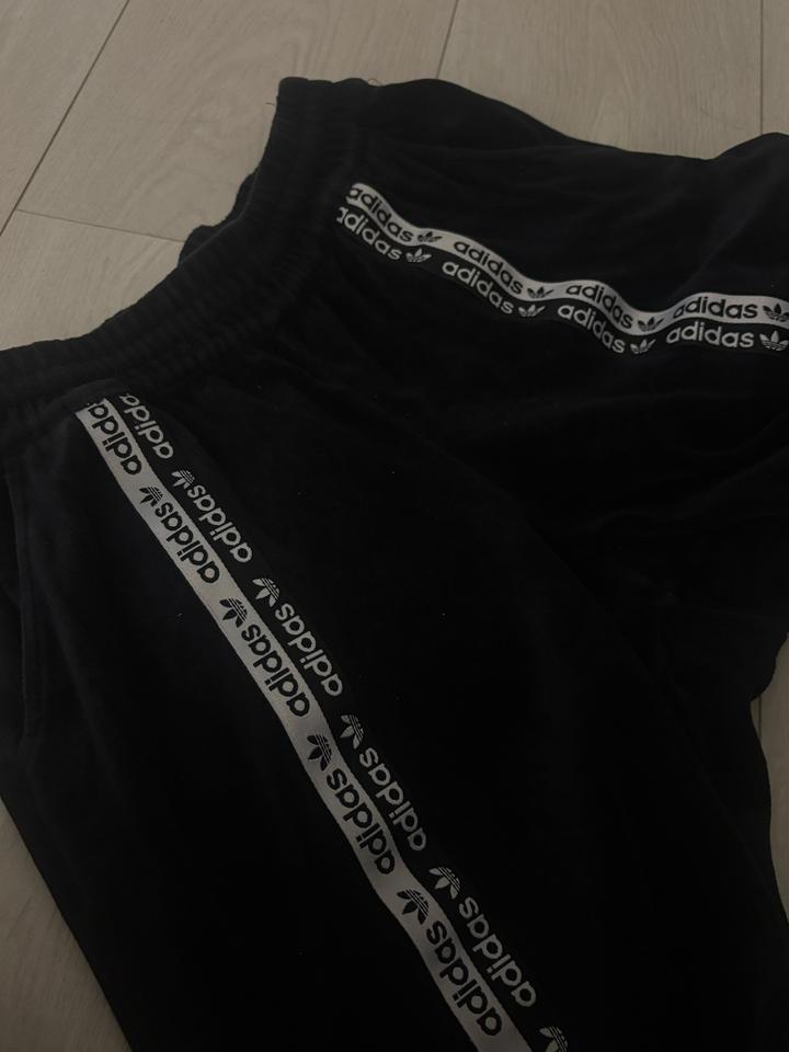 велюровый костюм adidas