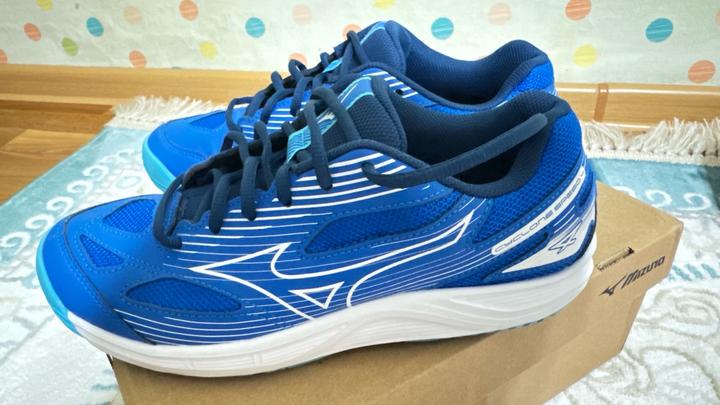 Волейбольные кроссовки Mizuno