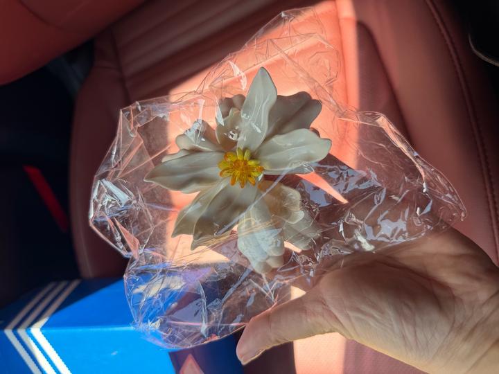 Сережки новые