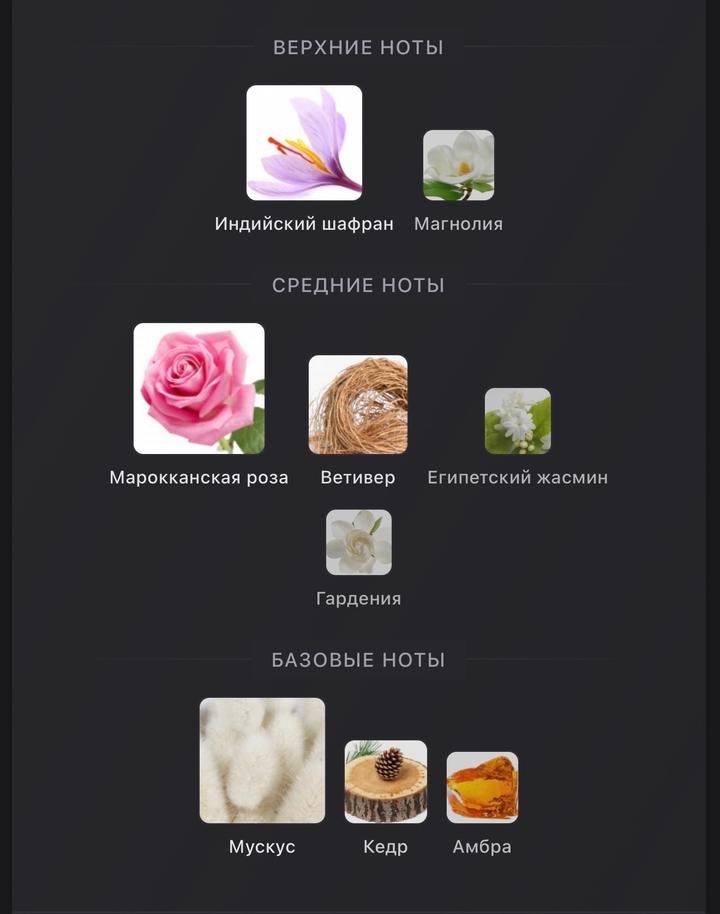 Agent Provocateur Agent Provocateur 5 мл