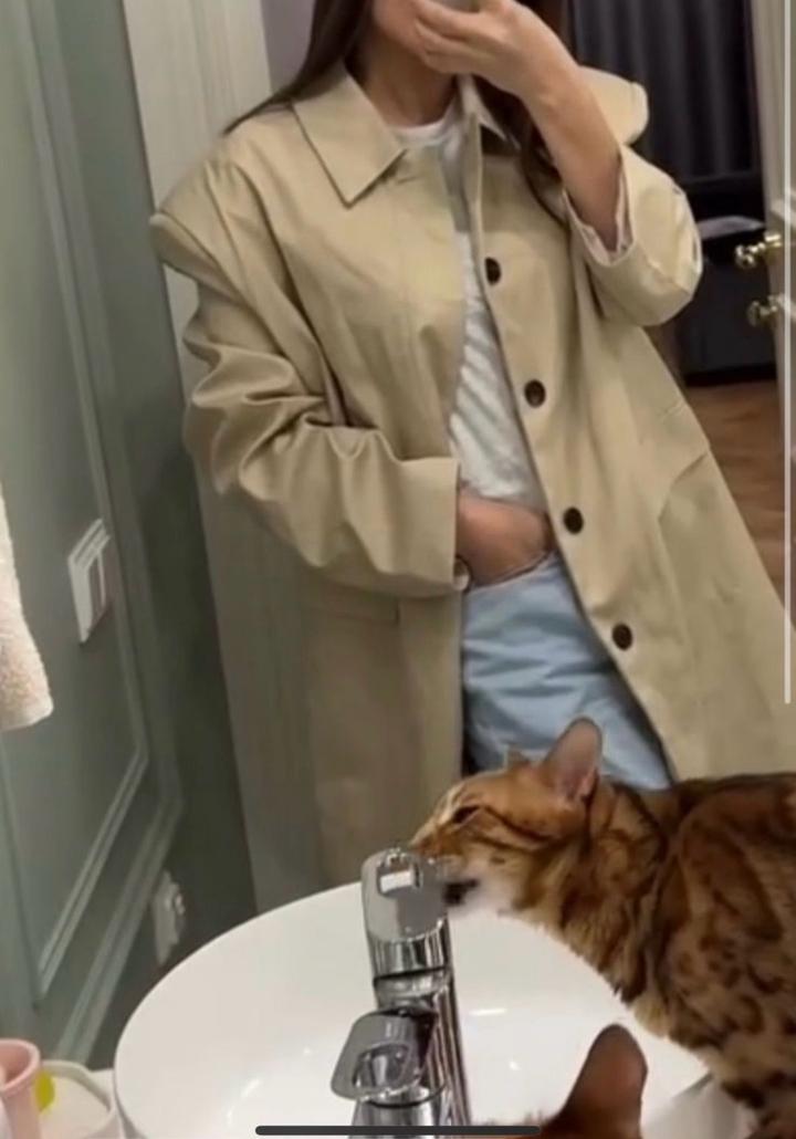 тренч papermoon