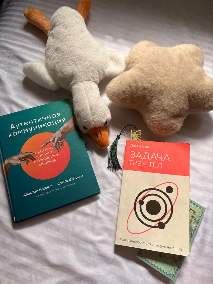 2 книги (плюшевые игрушки в подарок)