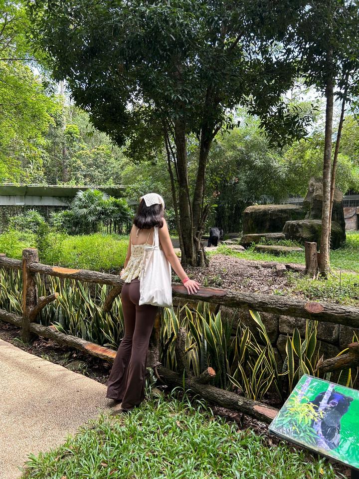 лосины клеш