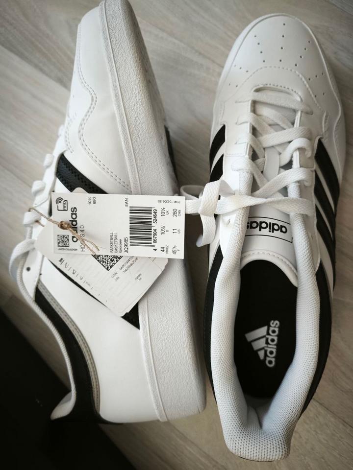 Adidas hoops 4.0