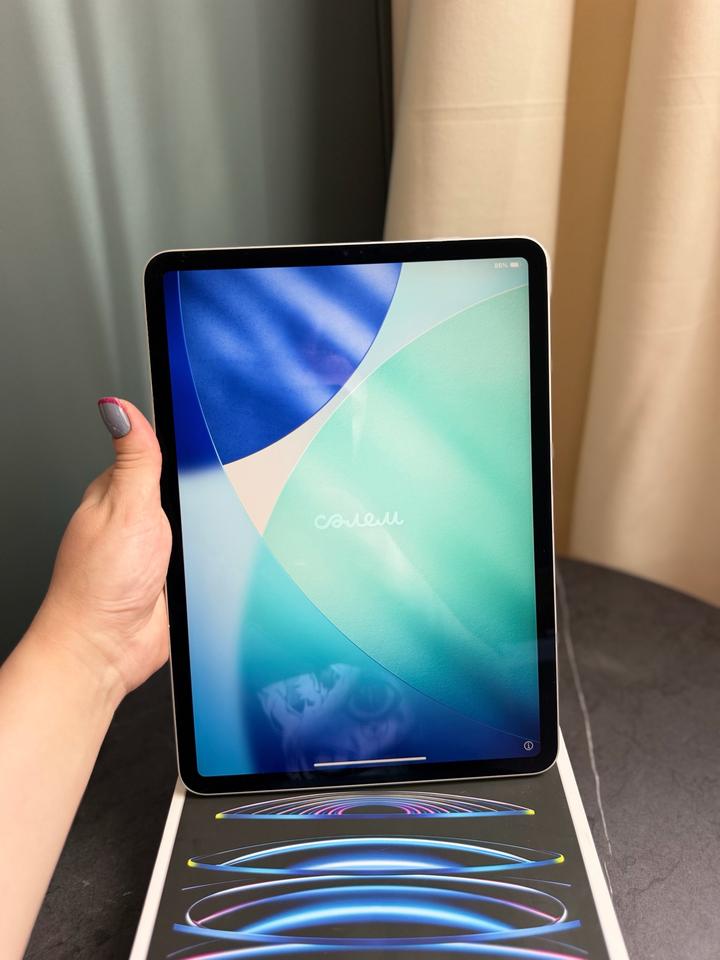 Apple iPad Pro 11 256Gb Wi-fi Silver(4gen)