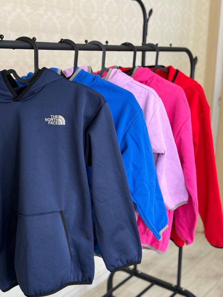 Утепленные худи от бренда The North Face