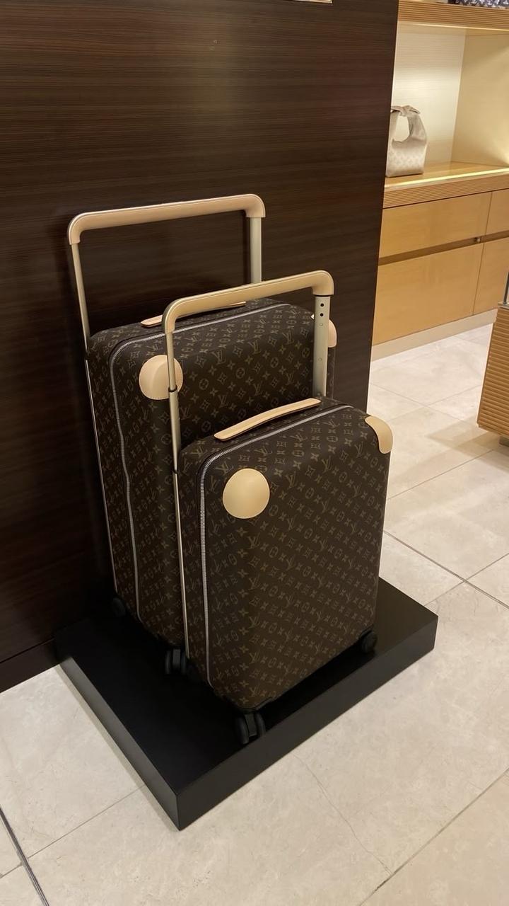 Мини и Макси чемодан от LV