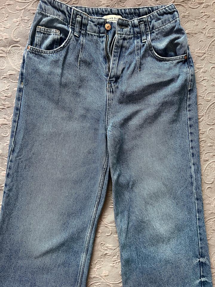 Бэгги джинсы Dilvin blue