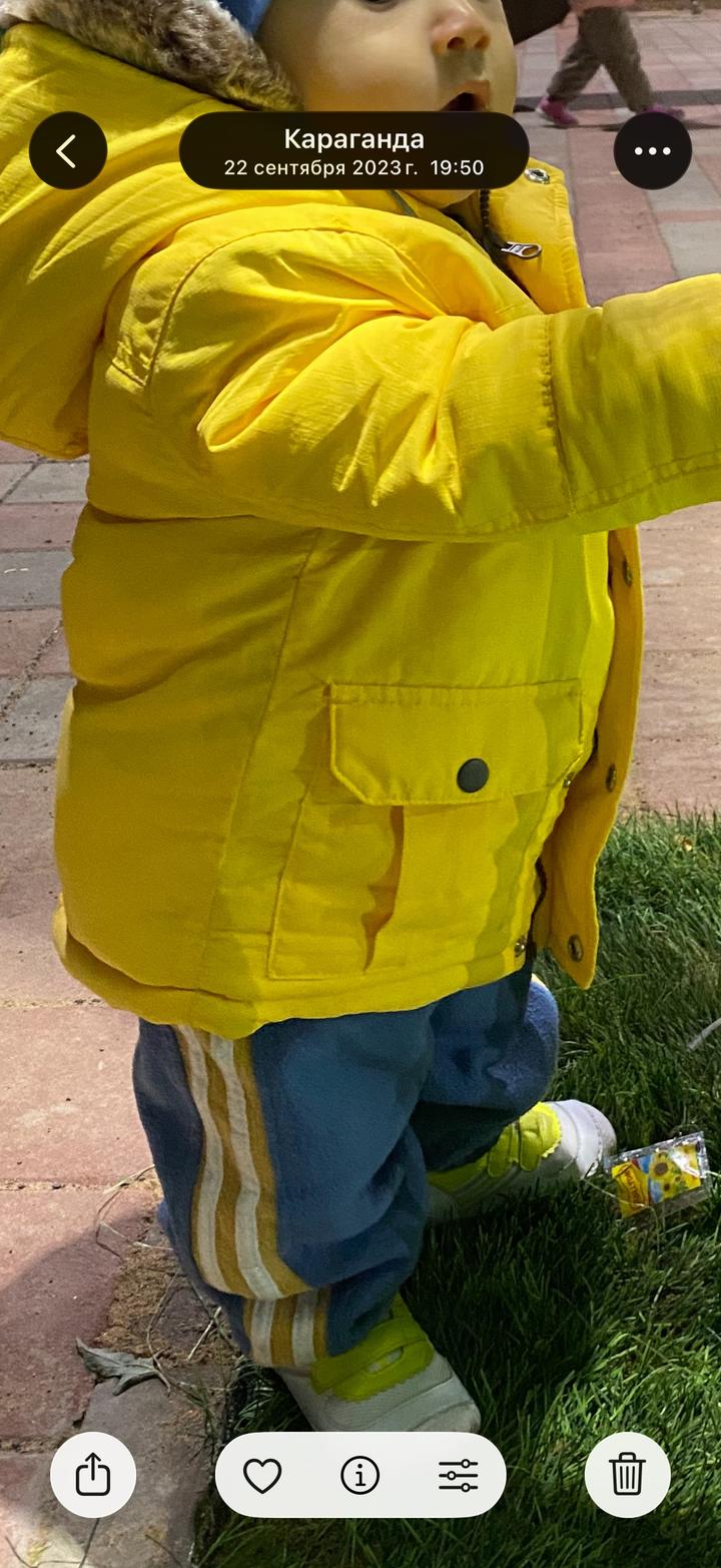 Куртка осень весна