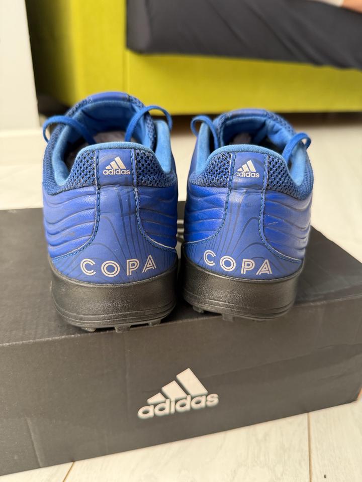 Сороконожки Adidas Copa 20.3 TF