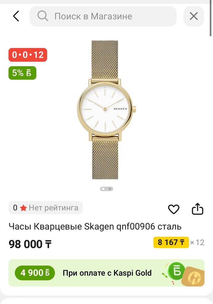Часы Skagen