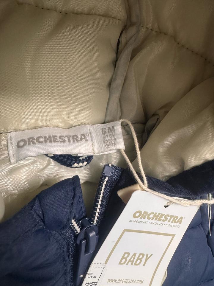 Демисезонная куртка Orchestra