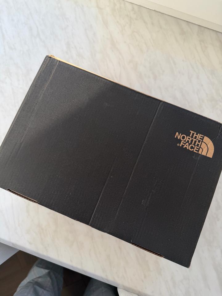 Демисезонные мужские кроссовки the north face