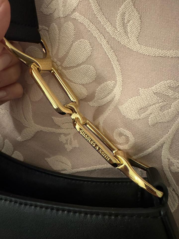 Хобо сумка Charles & Keith