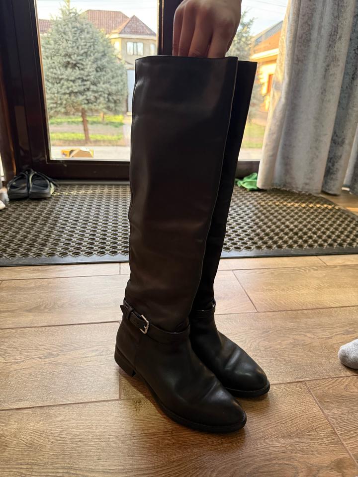 Зимние сапоги от Basconi