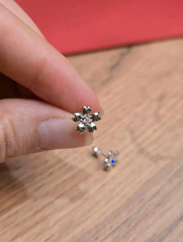 Сергьи серебро