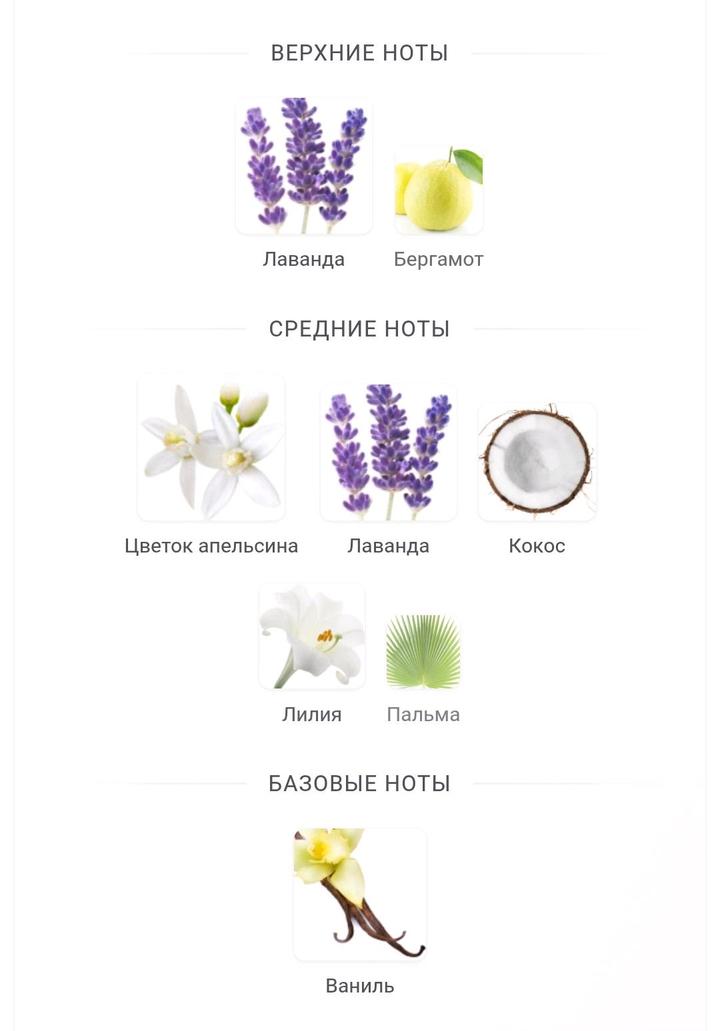 YVES SAINT LAURENT libre flowers & flames парфюмерная вода