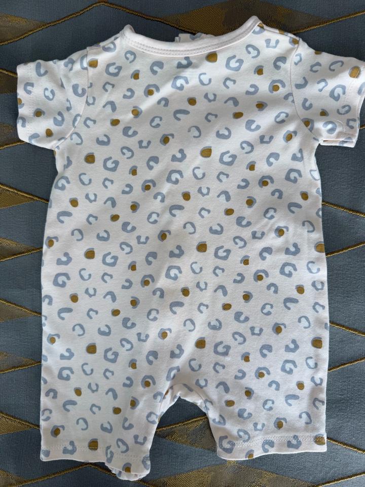 Песочник