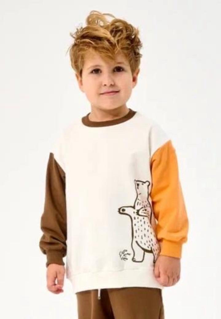 Свитшот и штаны двойка