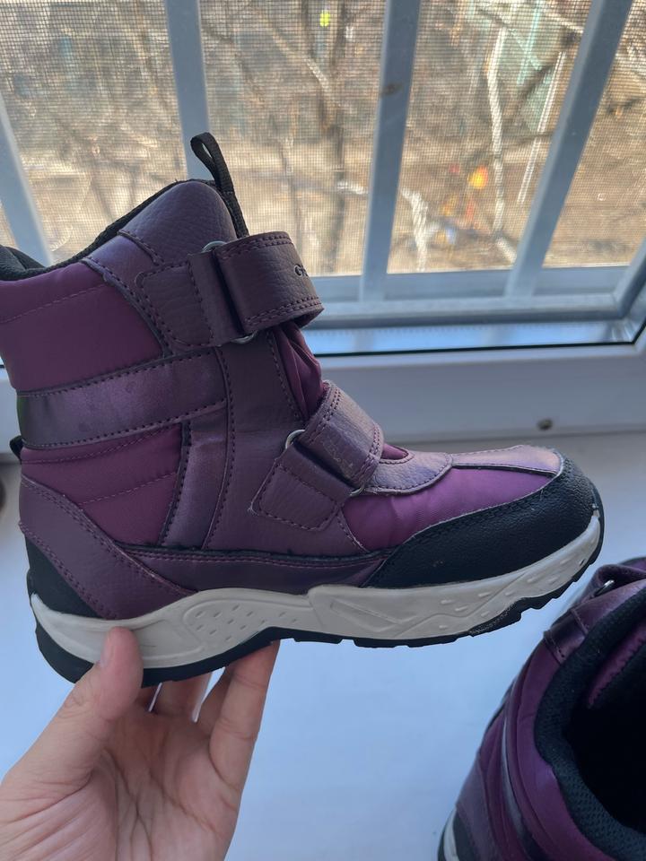 Зимние сапоги Geox