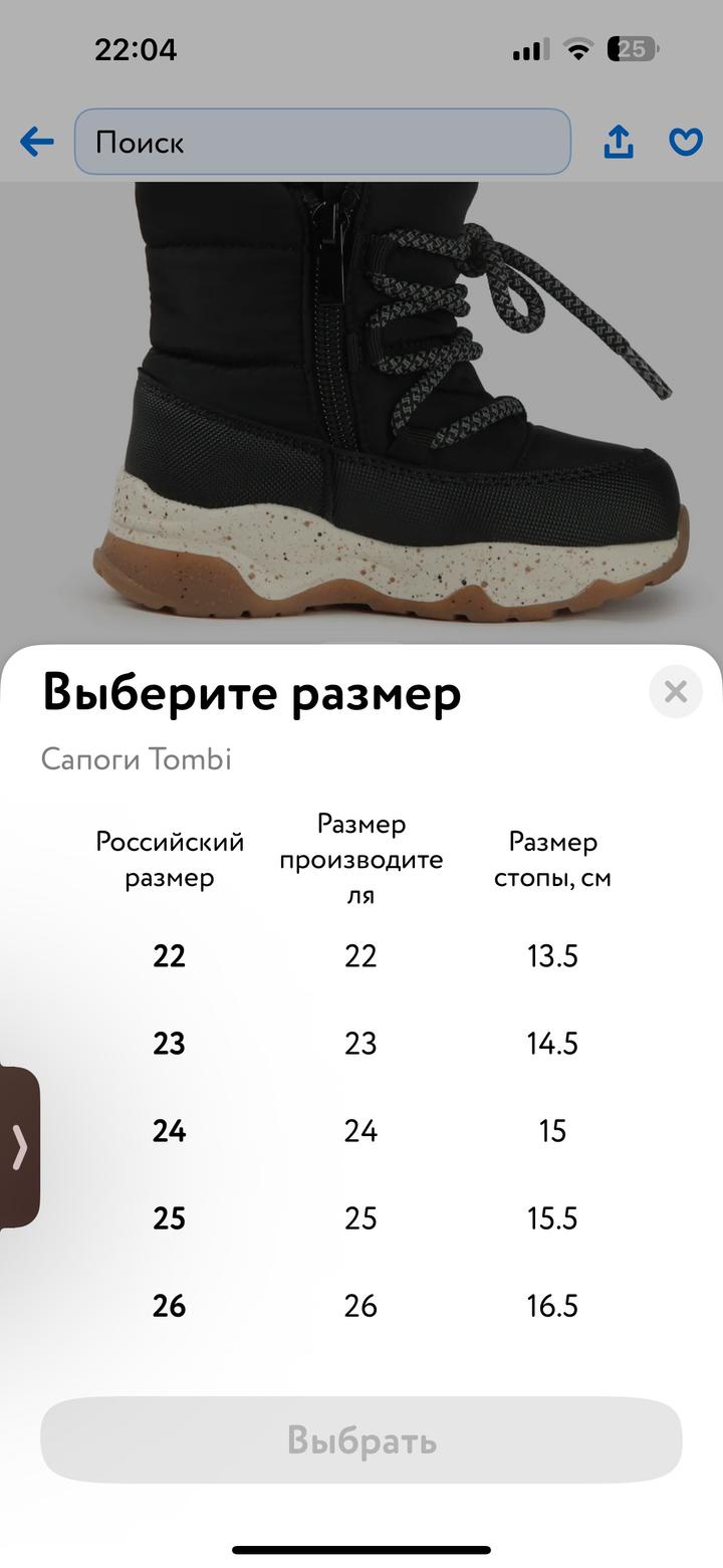 Дутики зимние для мальчика