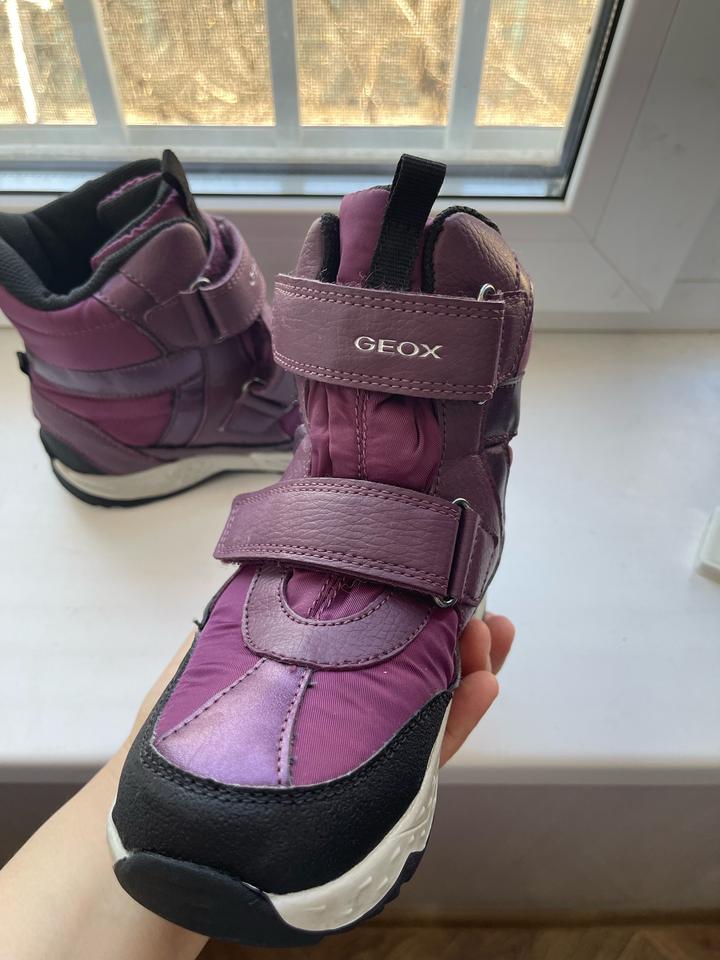 Зимние сапоги Geox