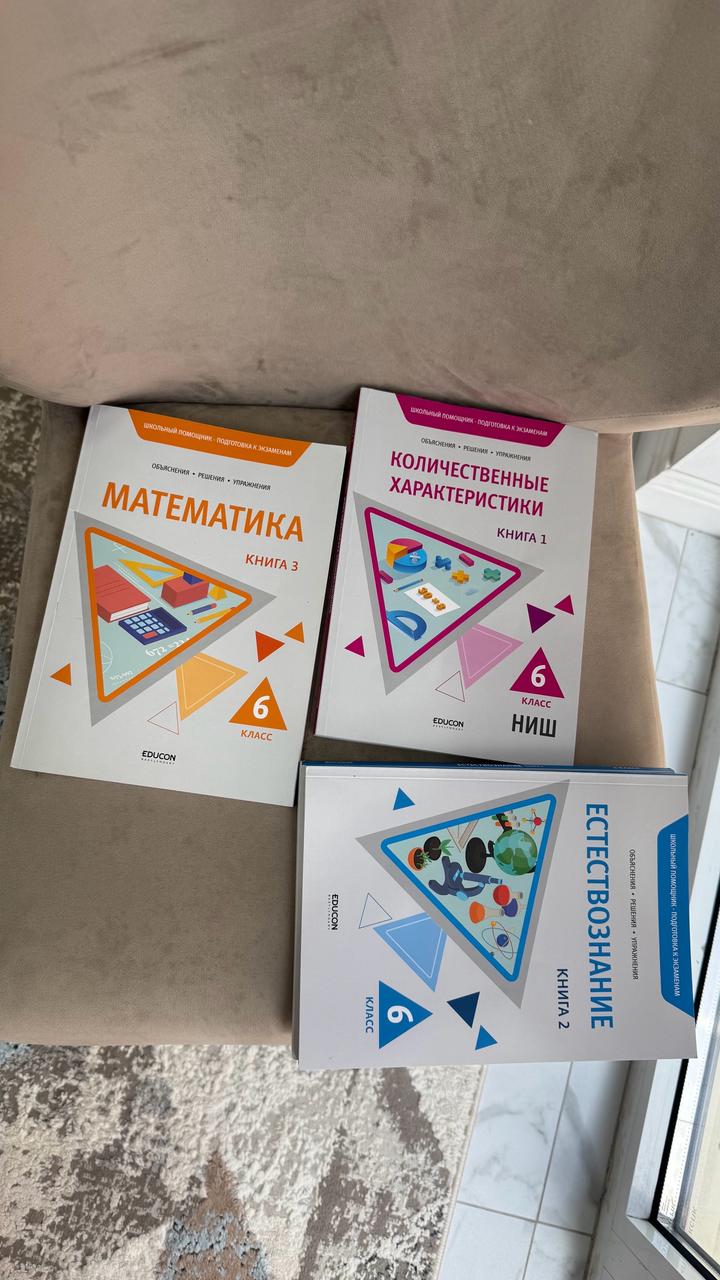Книги 6 класс подготовка в НИШ