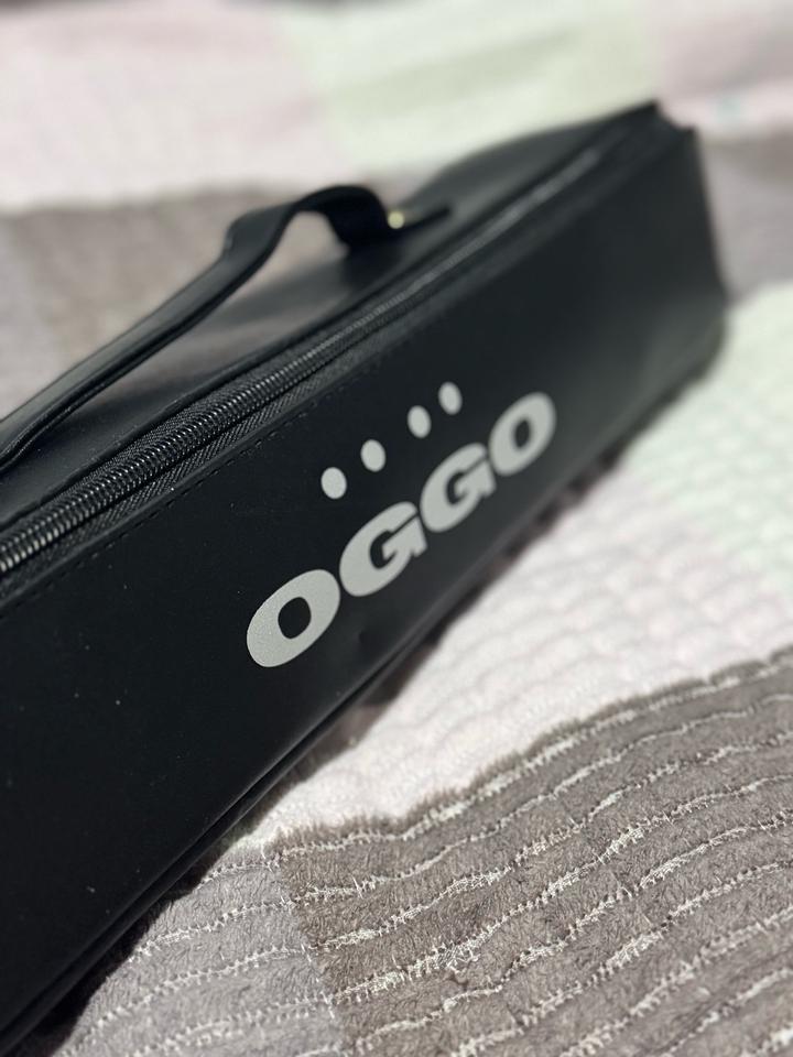 Фен-выпрчмитель OGGO