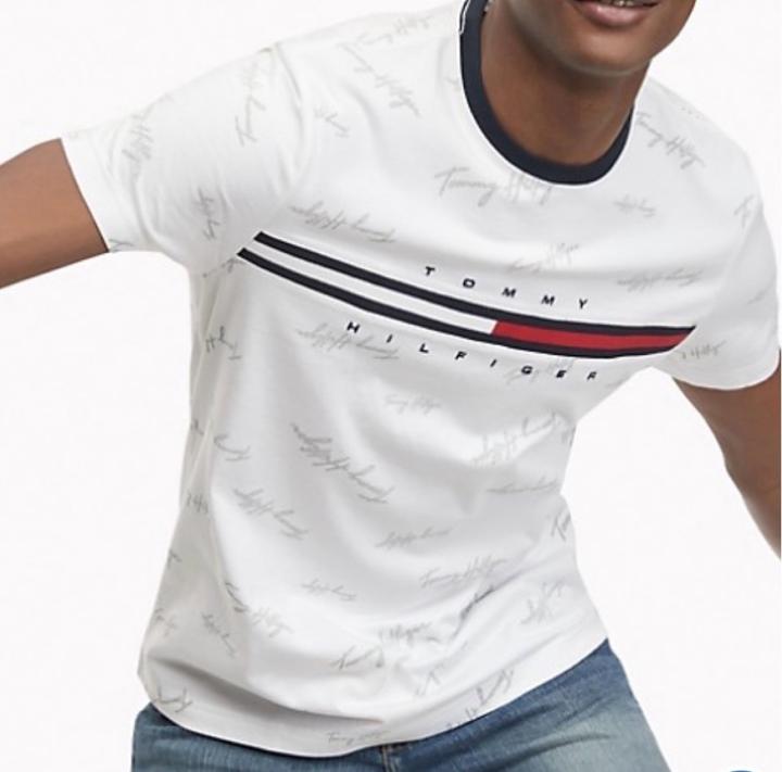 мужская футболка Tommy Hilfiger оригинал