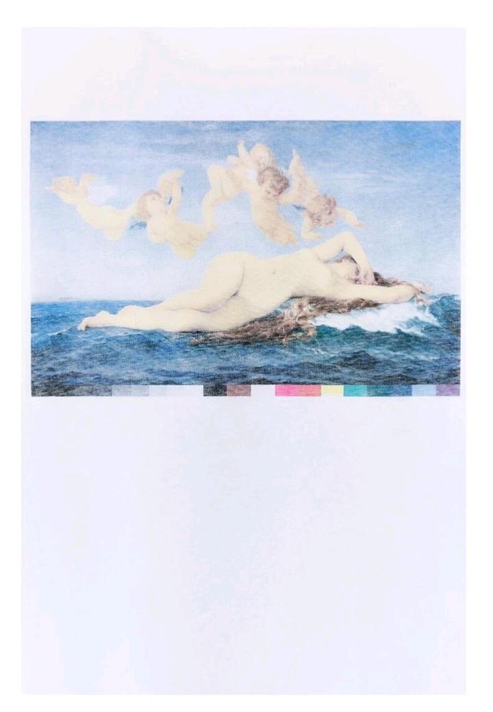 Zara Birth of Venus by Alexandre Cabanel t shirt